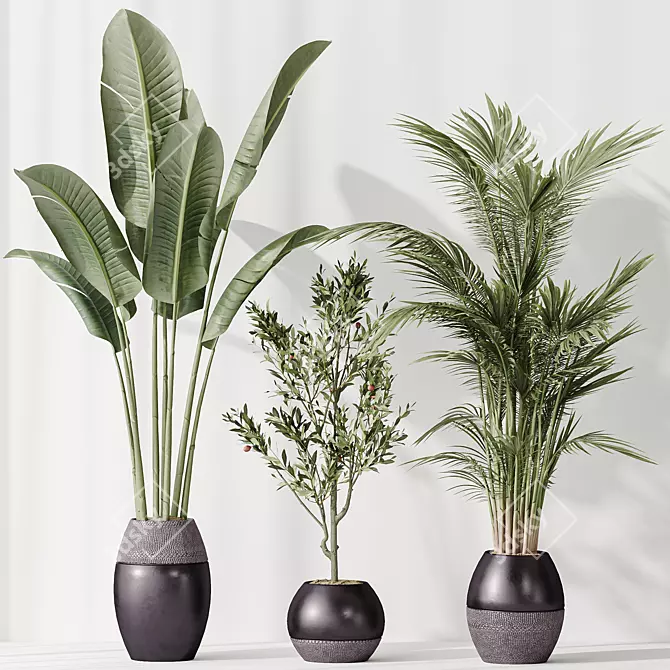 Modern Indoor Plant Set Model 3D model image 4