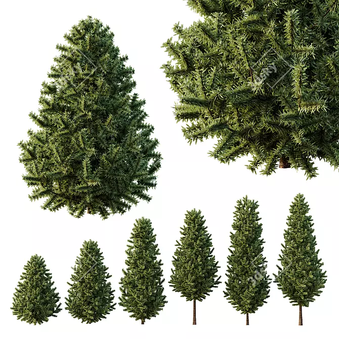  Evergreen 3D Pin Tree Model 3D model image 1