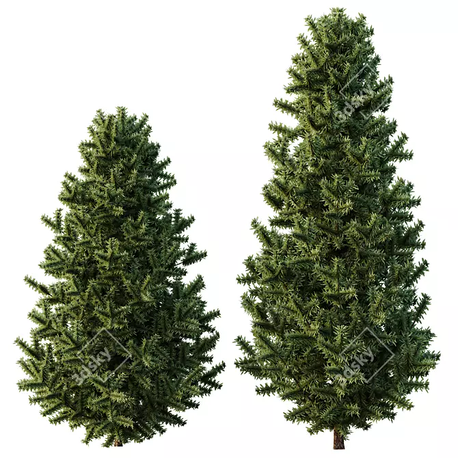  Evergreen 3D Pin Tree Model 3D model image 2