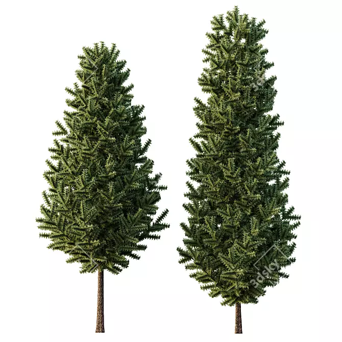  Evergreen 3D Pin Tree Model 3D model image 3