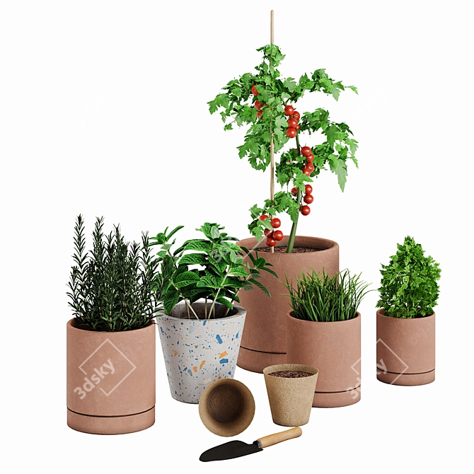 Greenery Delight 3D Set 3D model image 3