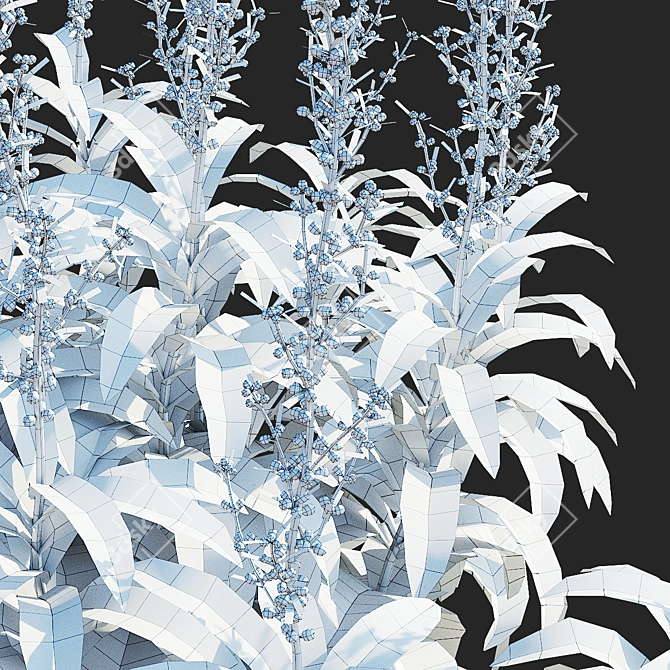 Artemisia Ludoviciana Flower Collection 3D model image 5