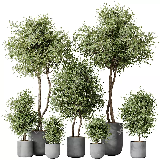 Elegant Olive Tree Set - Yardzen 3D model image 1