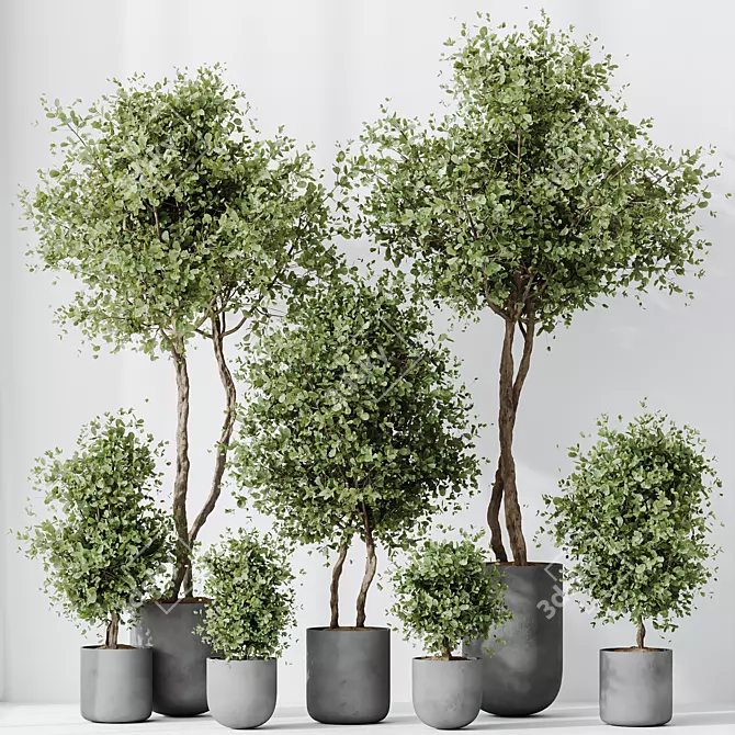 Elegant Olive Tree Set - Yardzen 3D model image 4