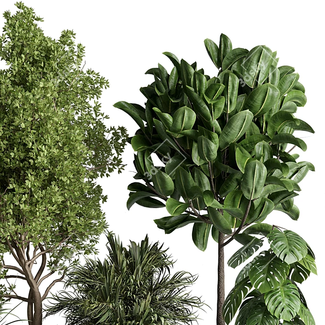 Urban Jungle Collection Mix 3D model image 6