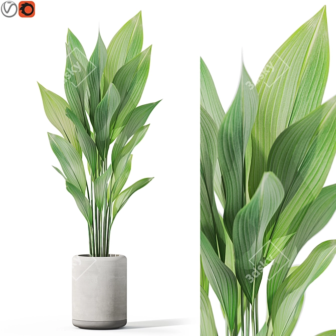  Greenery Assortment Pack 1080 3D model image 1