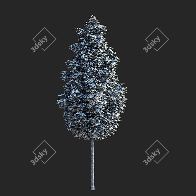 Sorbus Aucuparia Fastigiata Tree Set 3D model image 7