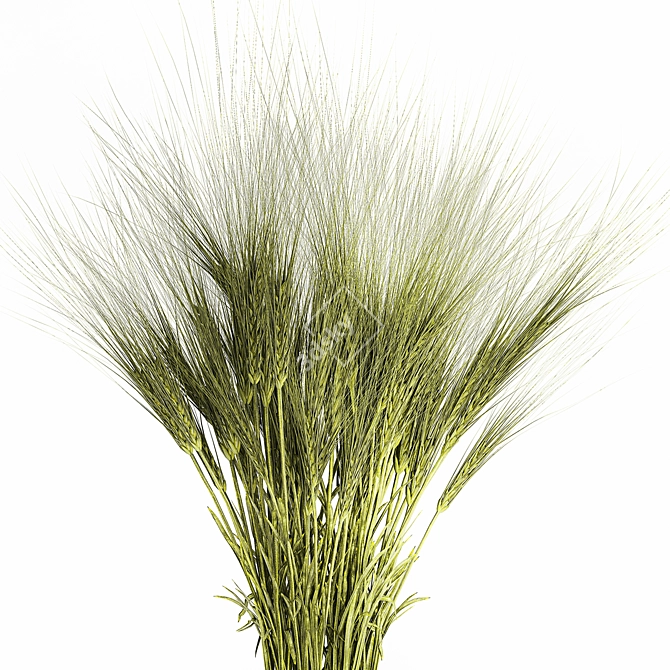 Green Wheat Field Bouquet  3D model image 4