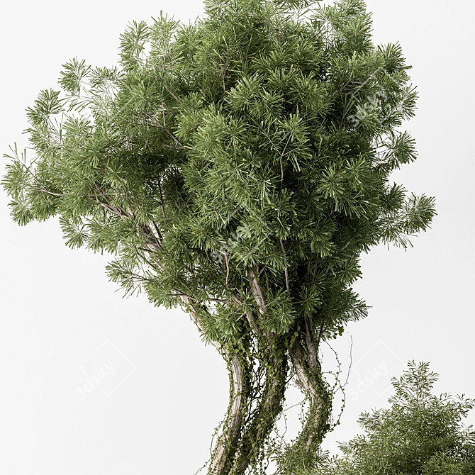 Leafy Serenity Tree in Pot 3D model image 3