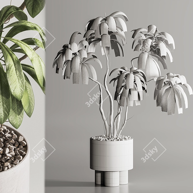 Contemporary Indoor Plant in Pot 3D model image 5