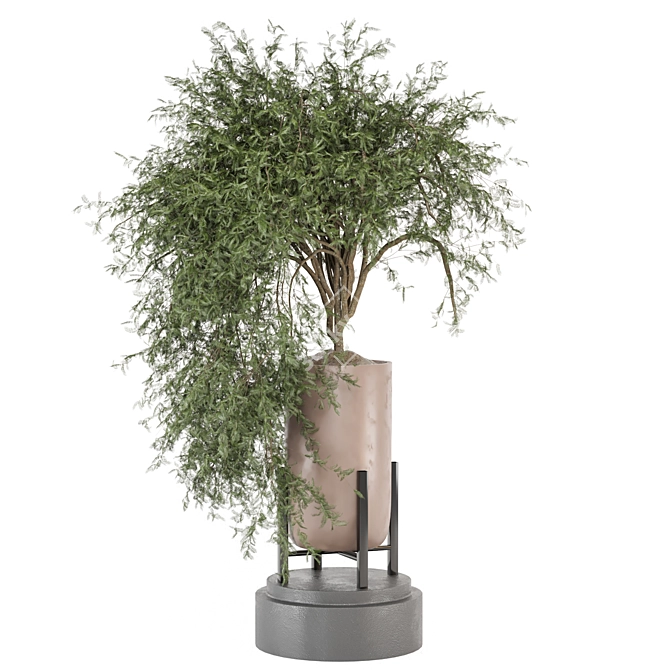 Indoor Plants Set 1277 - 3D Models 3D model image 4