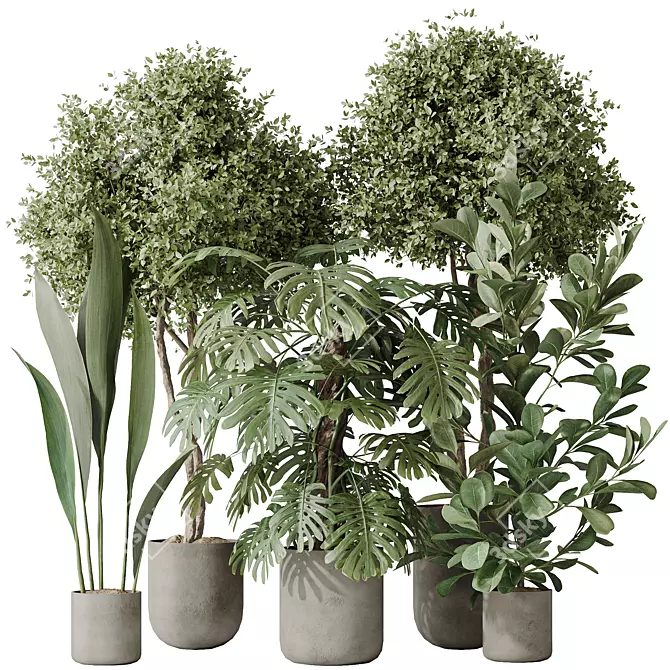 Variety Indoor Plants Set 59 3D model image 1