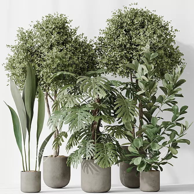 Variety Indoor Plants Set 59 3D model image 2