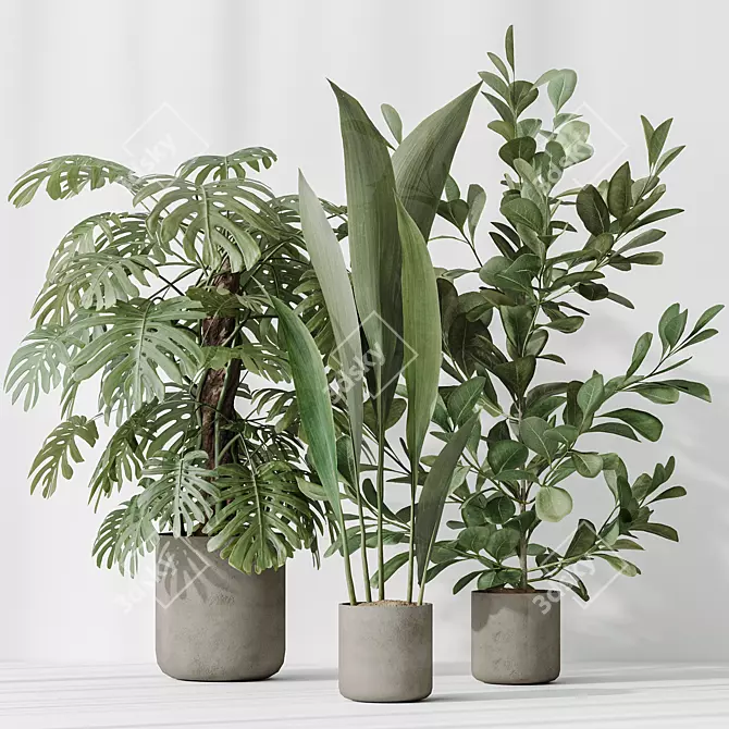 Variety Indoor Plants Set 59 3D model image 4