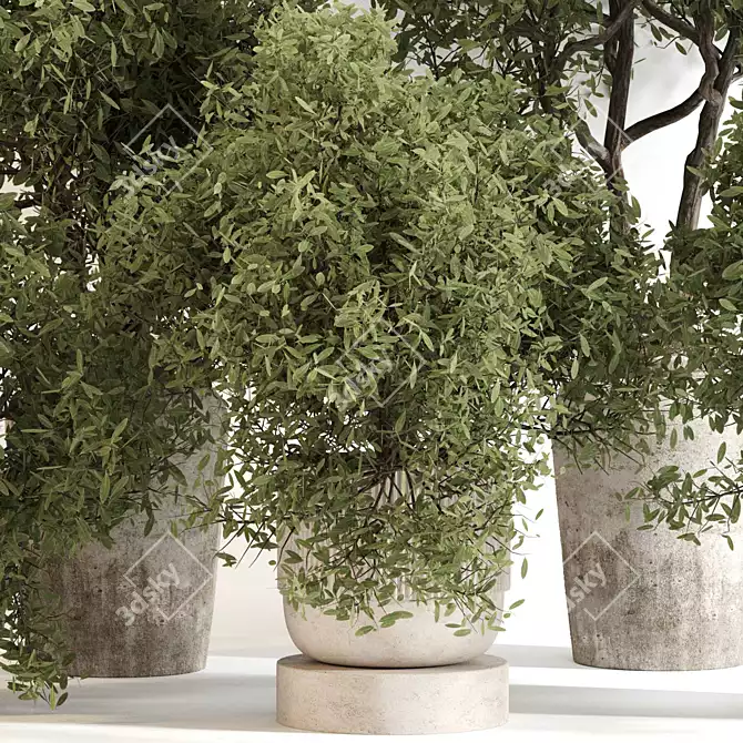 Outdoor Plant Sculpture & Render 3D model image 3