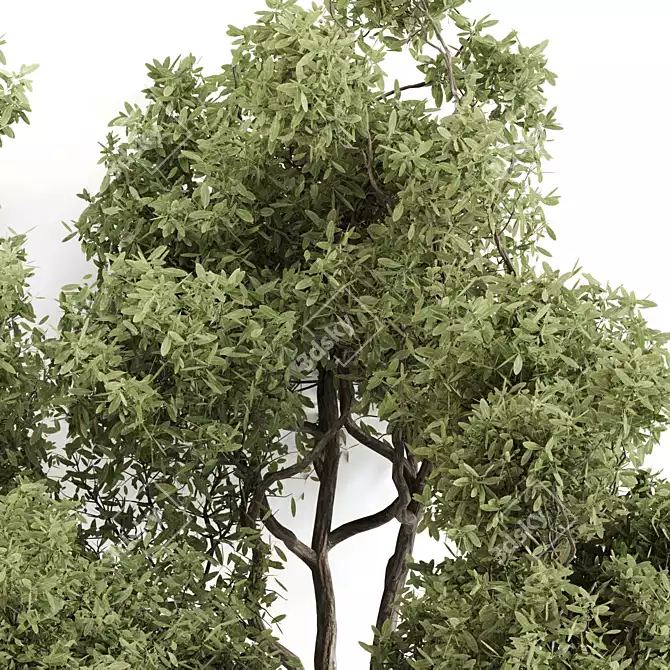 Outdoor Plant Sculpture & Render 3D model image 4