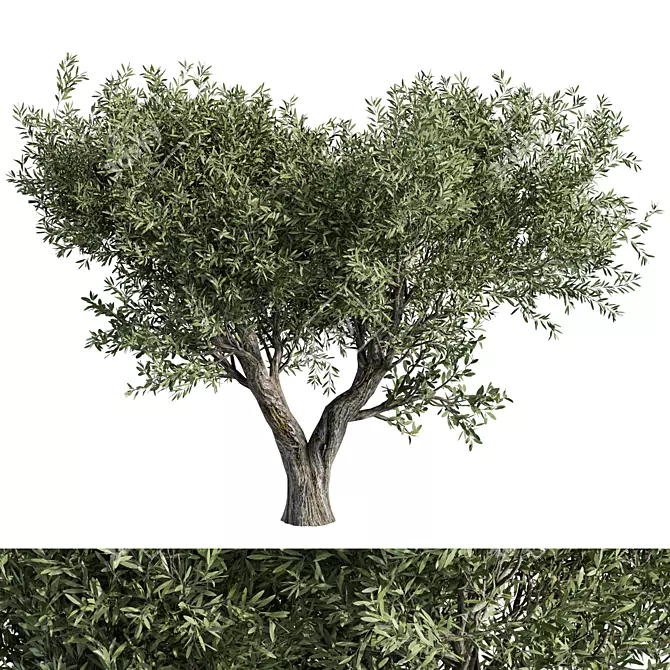 Evergreen No.98: 3D Model 3D model image 1