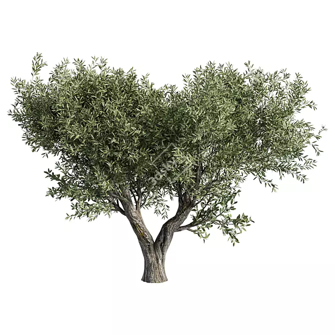 Evergreen No.98: 3D Model 3D model image 5