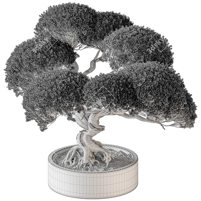 Mini Bonsai Indoor Plant 3D model image 5