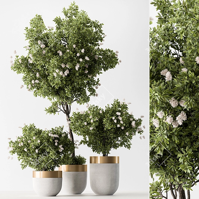 Botanical Beauty - Indoor Tree Display 3D model image 1