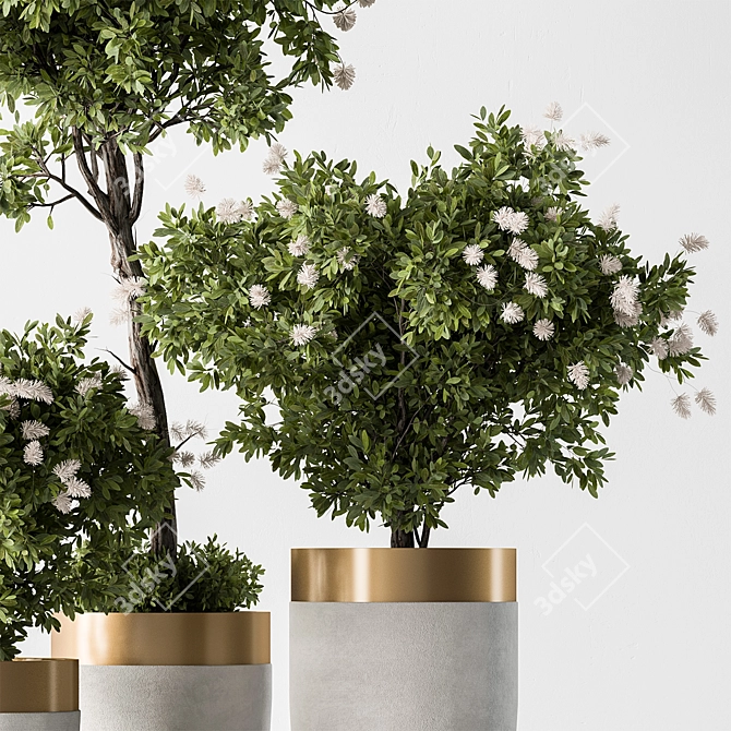 Botanical Beauty - Indoor Tree Display 3D model image 4