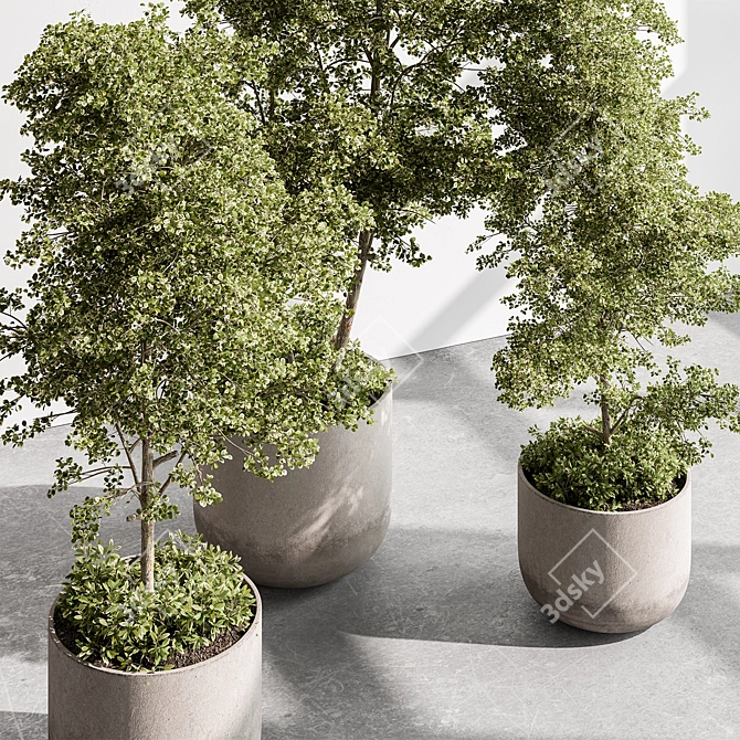 Hanging Tree in Outdoor Pot 3D model image 2