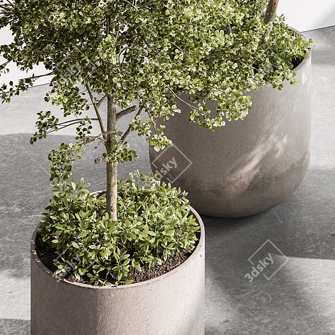 Hanging Tree in Outdoor Pot 3D model image 4