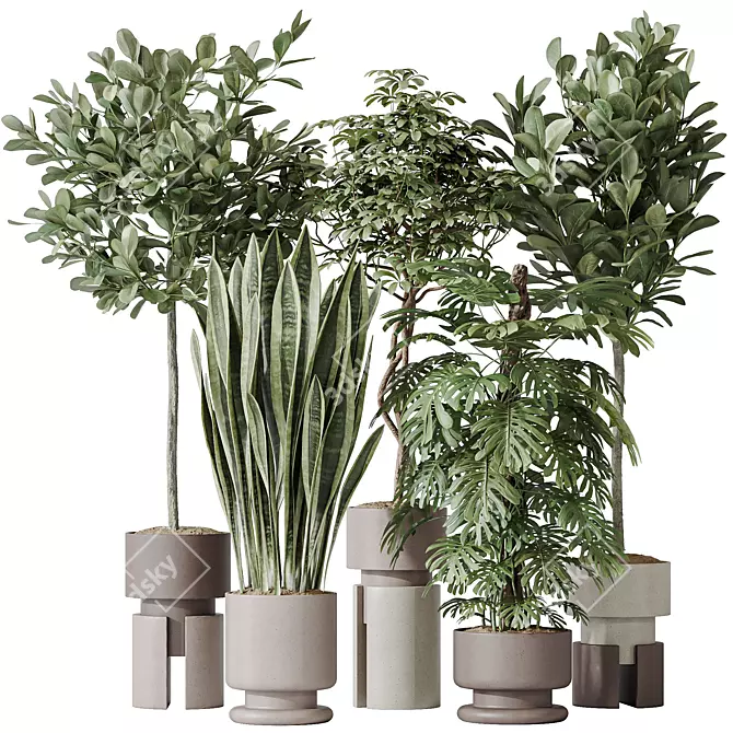 Modern Indoor Plant set Collection 3D model image 1