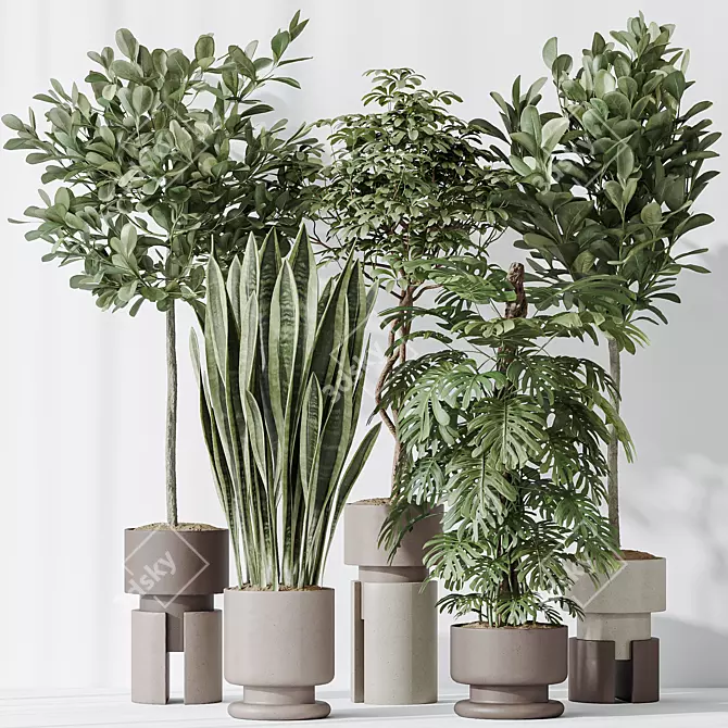 Modern Indoor Plant set Collection 3D model image 2