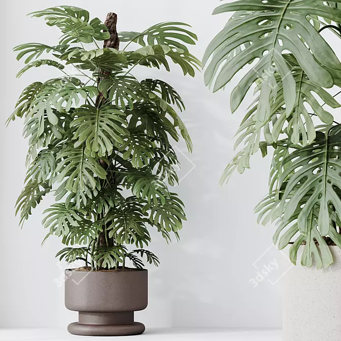 Modern Indoor Plant set Collection 3D model image 3