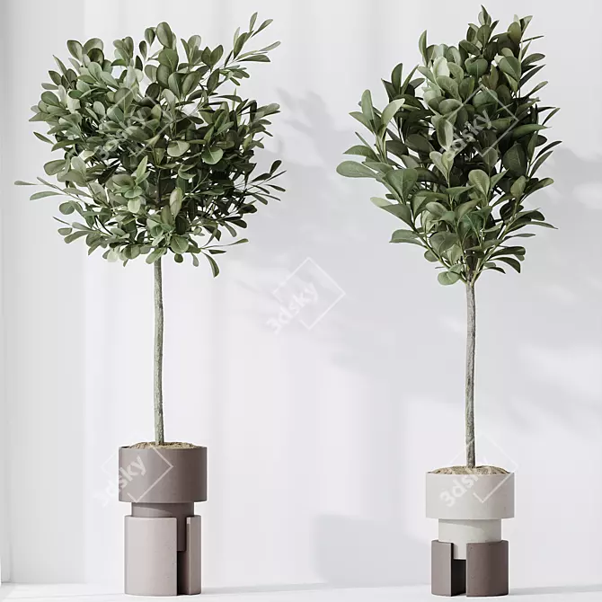 Modern Indoor Plant set Collection 3D model image 4