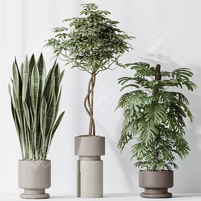 Modern Indoor Plant set Collection 3D model image 5