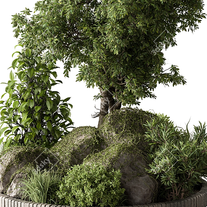 Greenery Collection Outdoor Plants 3D model image 3