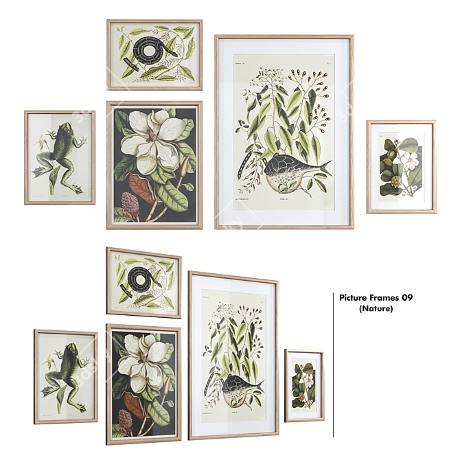 Nature Collection Picture Frames 3D model image 1