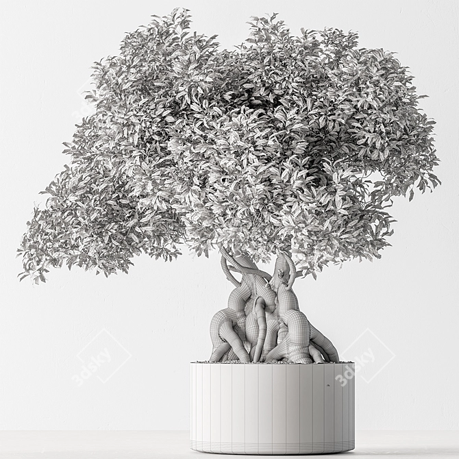 Exquisite Bonsai Plant 719 3D model image 4