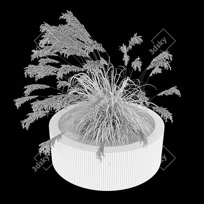 Ornamental Grass Duo Set 3D model image 4