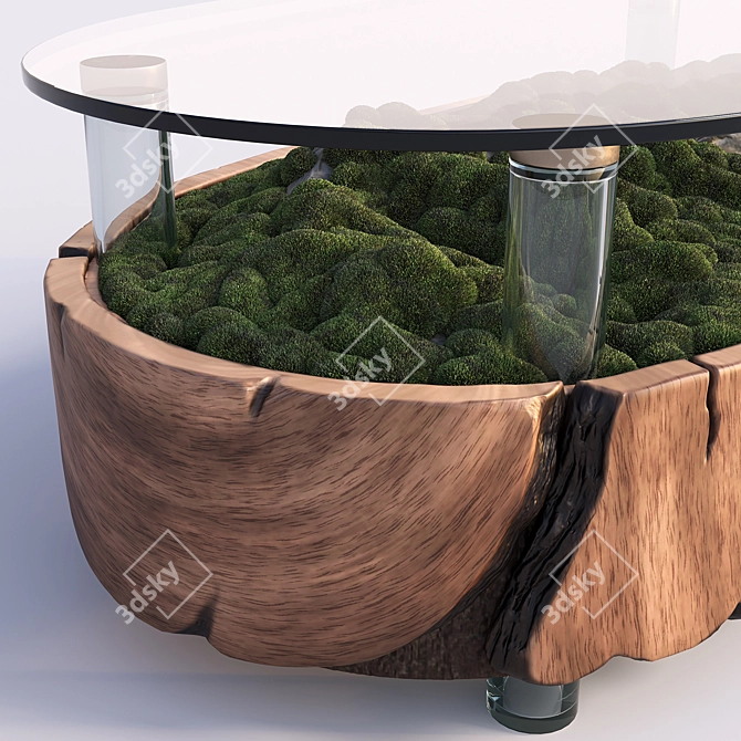 Mossy Wood Terrarium Coffee Table 3D model image 2