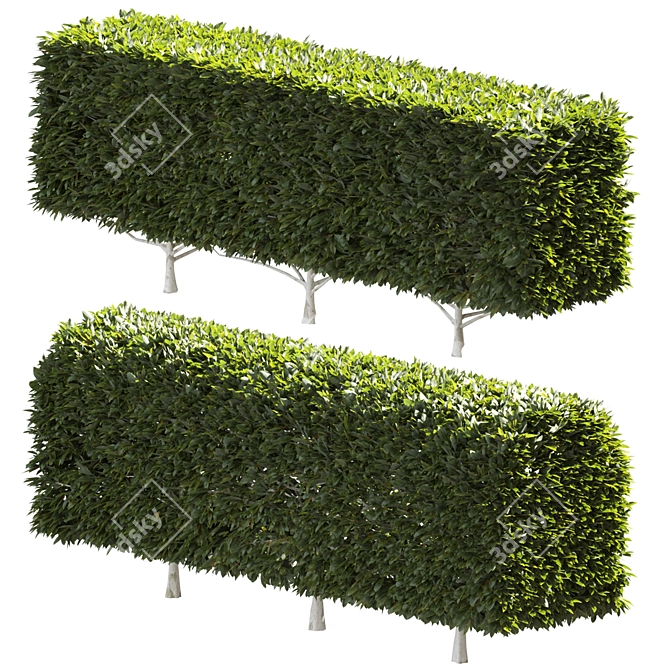 Artificial Greenery Faux Tree Display 3D model image 1