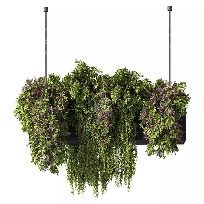 Botanical Bliss Hanging Plants Set 3D model image 2