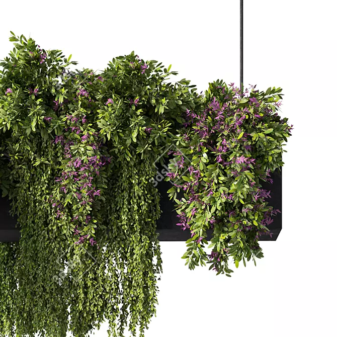 Botanical Bliss Hanging Plants Set 3D model image 3