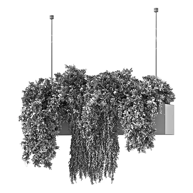 Botanical Bliss Hanging Plants Set 3D model image 5