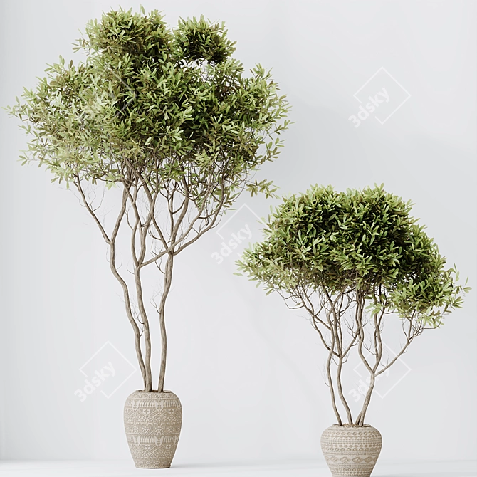 Modern Indoor Plant Set Collection 3D model image 5