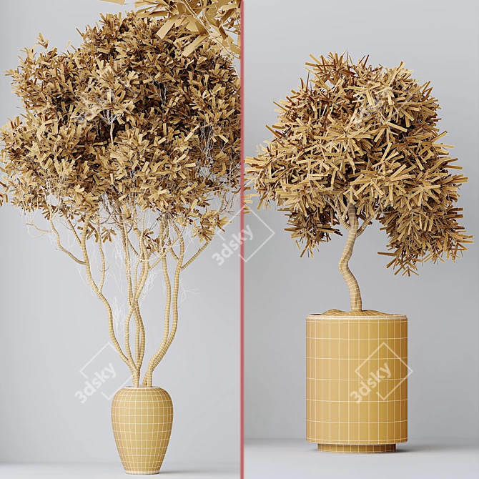 Modern Indoor Plant Set Collection 3D model image 7