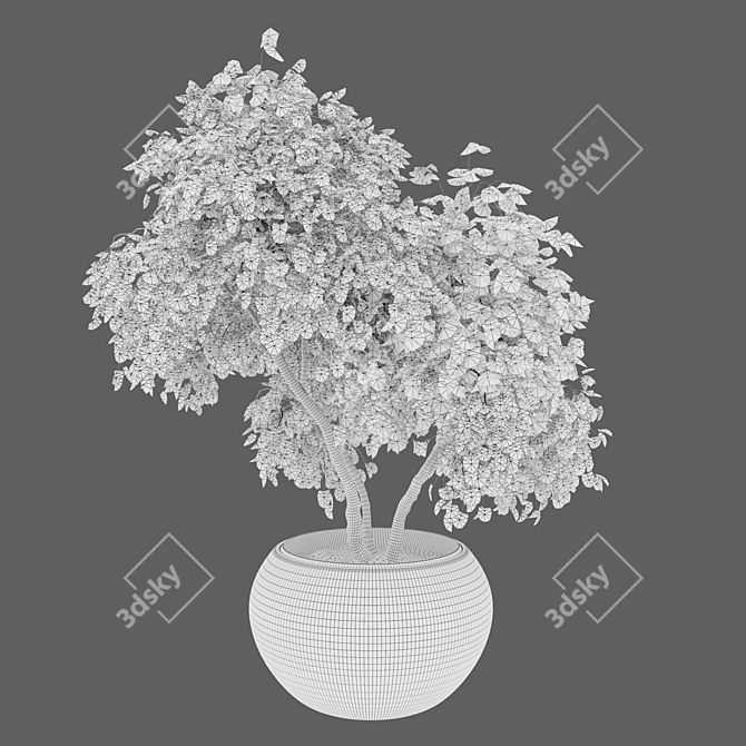 Maple Planter 02: 1.8m Height 3D model image 3