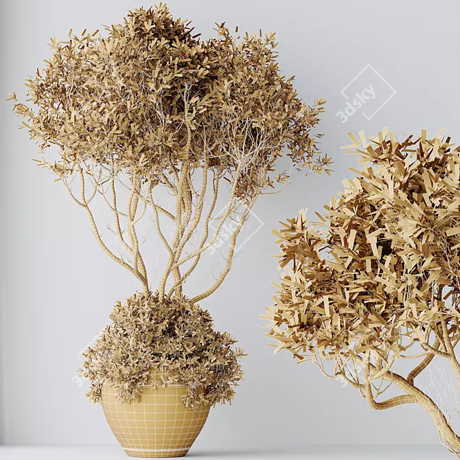 Elegant Olive Tree Set 3D 3D model image 5