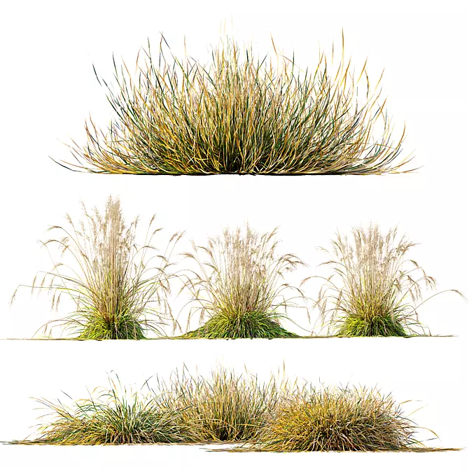 Fireside Grass Bundle Set 3D model image 1