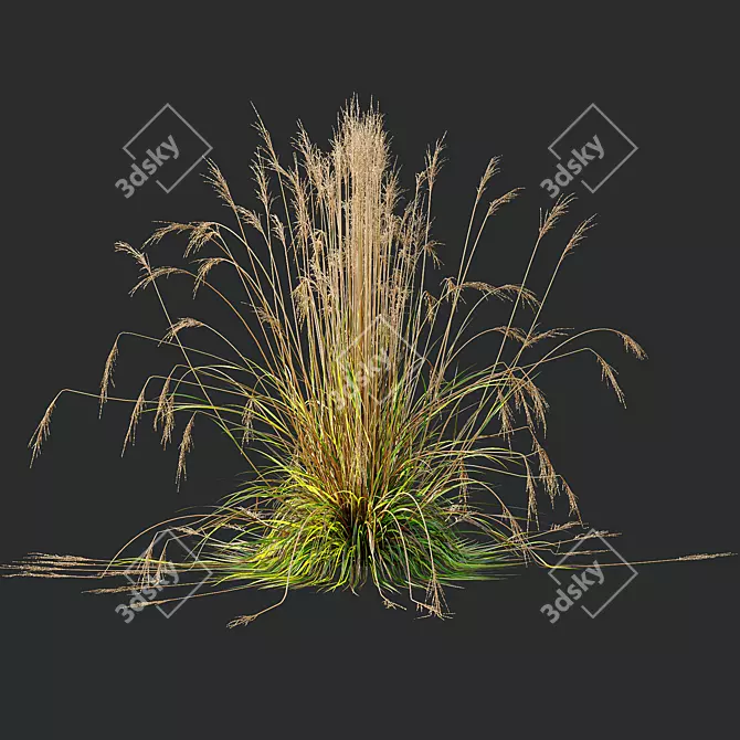 Fireside Grass Bundle Set 3D model image 2