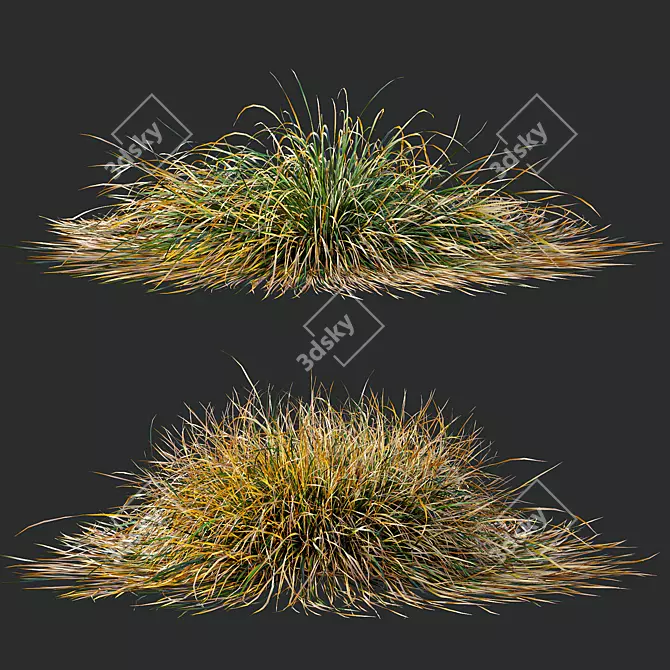 Fireside Grass Bundle Set 3D model image 3