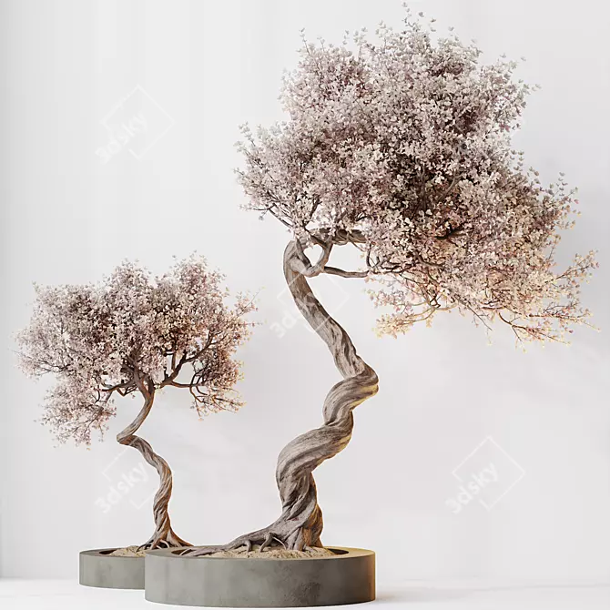 Modern Olive Tree Set 3D 3D model image 2