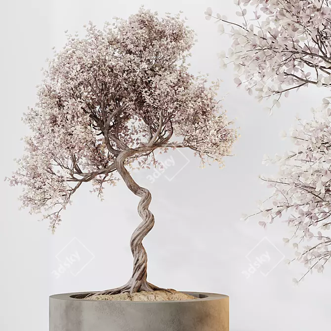 Modern Olive Tree Set 3D 3D model image 3